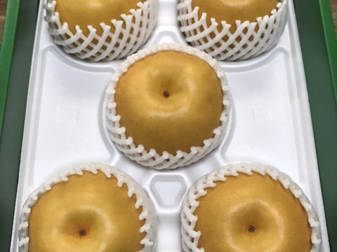大豊作300円引き‼️【PREMIUM豊水梨】贈答用3kg(5~7個) これ以上の豊水は無い‼️と自信を持ってお届け😋 ひとつひとつ色付きを確かめ樹上完熟で収穫‼️コロコロの豊水は、ほぼほぼ果汁です💦
