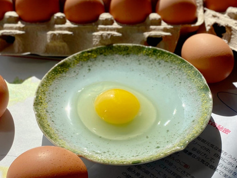 【2025食べちょくアワード受賞卵】古都風雅ファームの大寒卵（大寒初日1/20生まれの卵）