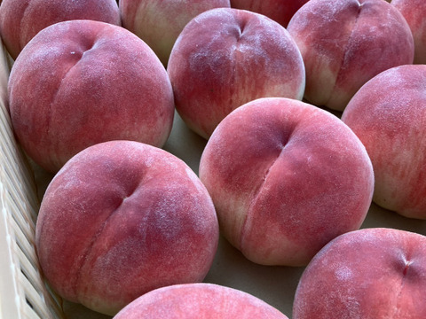 朝採り新鮮！山梨の桃　2kg