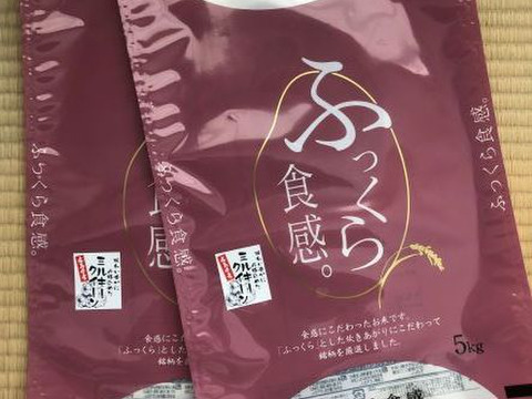 【災害復興米】広島米R４年　モチモチの新米ミルキークイーン20kg（10kg×2袋）