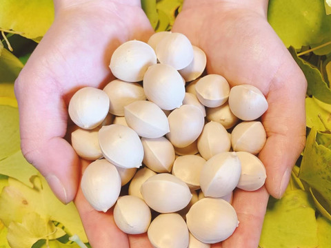 長男5歳,次男2歳記念‼️赤果肉りんご入り【宝石箱】農薬50％減　最低3品種