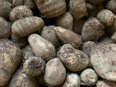 予約販売有機栽培　さといも　5kg 大分県産の粘りほくほく！