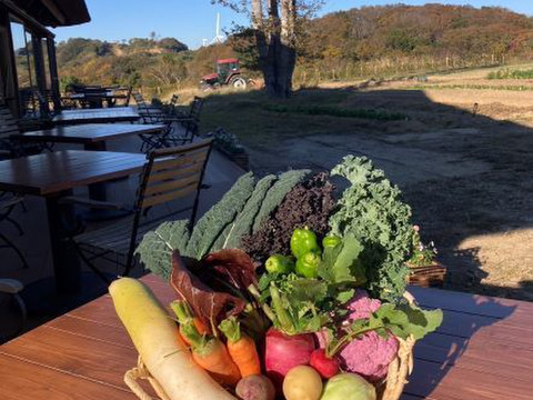 【淡路島産】有機肥料100%で育てた冬野菜１０種詰め合わせ🥬