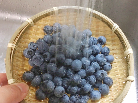 アレンジいろいろ！２０２２年今夏収穫！新鮮冷凍「大粒ブルーベリー（ぶるーべりー）」　除草剤不使用　化学農薬不使用
