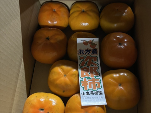 シャキシャキ食感！延岡市北方特産次郎柿！(2.5kg)