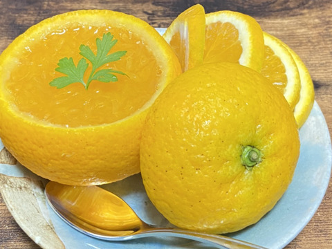 【2kg】とみこばぁばのバレンシアオレンジ【希少種】