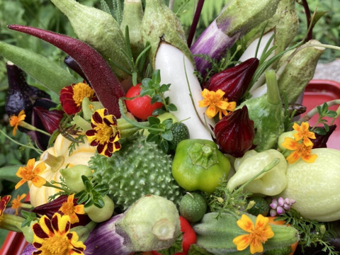 【秋ギフト】野菜ブーケかごタイプ【カラフルなミニ野菜】【お誕生日】【開店祝い】【周年祝い】【お供え】