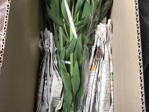 おまかせ花束　アルストロメリア