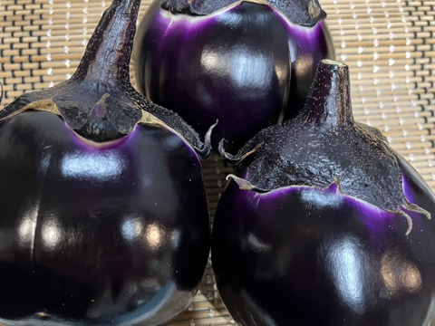 【加熱でトロッと食感！】京都産　イタリアステーキ丸なす　約1.2Kg〔3〜6個〕