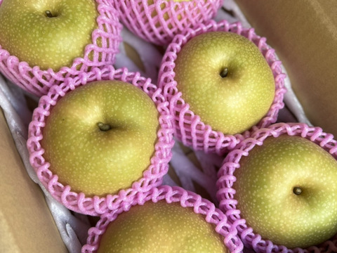 次世代エース　秋甘泉　5キロ