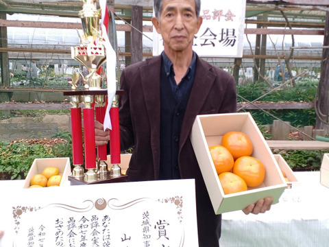 規格外の美味しさ、貴方の心を虜にする人気の柿「太秋」９個から１２個入１箱３．５㎏以上
　 ３年連続（令和５、６、７年）茨城県知事賞を受賞