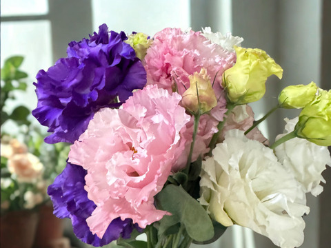 トルコキキョウ☆可愛い手のひらブーケ☆2束セット♪