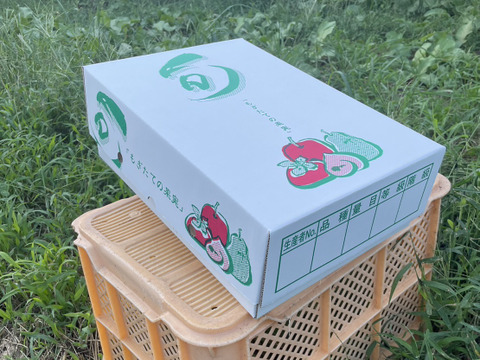 ★パリパリ食感★シャインマスカット★（４５０ｇ～５００ｇ）★自家製りんごジュース５００ｍｌ詰め合わせセット