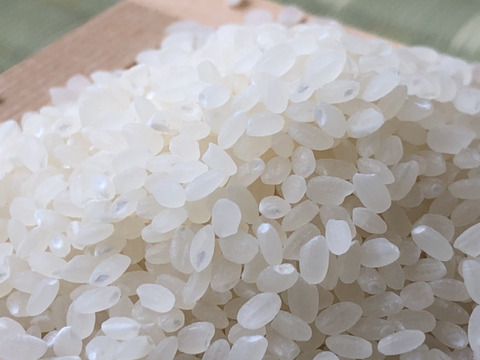 【リオレのレシピ付き】まぼろしの米　稀少米ミネアサヒ（1キロ）