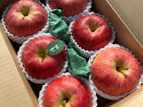 🍎希少品種🍎世界一約3キロ 6～7玉入り 青森りんごID168643