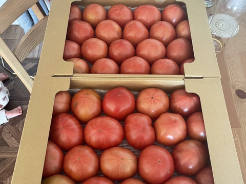 大人気‼︎『陽の香り』４キロ箱満杯詰め　長野の自然が育てた恵　桃太郎トマト☆