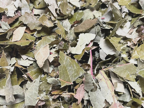 古参品種ブルーベリーの葉のハーブティー（お試しサイズ：15g） ※まとめ買い対応