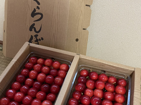 ※わんたろん※   山形県産さくらんぼ　佐藤錦。 s1209-c_2025.jpg