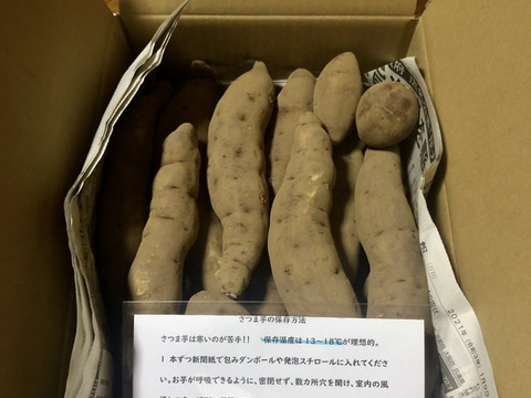 ラスト5箱‼️栗のような甘さとホクホク食感❗️さつまいも千葉県香取市産【紅あずま】4.8kg S〜Lサイズ混合