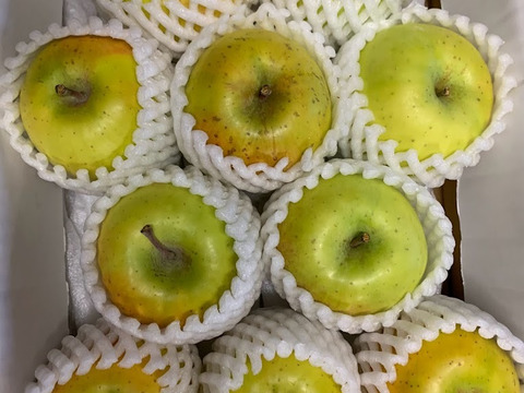 🍏蜜どけりんご🍏　『黄金のサンふじ』ハネ（規格外品）２Kg　8個から12個入り