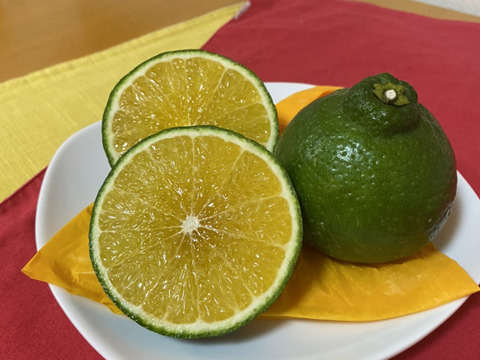 不知火農家しか知らない まだ緑の不知火 ポンポンベイビー 5 熊本県産 食べチョク 農家 漁師の産直ネット通販 旬の食材を生産者直送