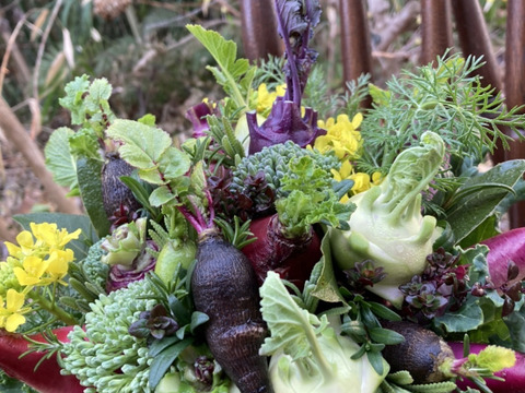【ギフト】野菜ブーケかごタイプ【カラフルなミニ野菜】【お誕生日】【開店祝い】【周年祝い】【お供え】