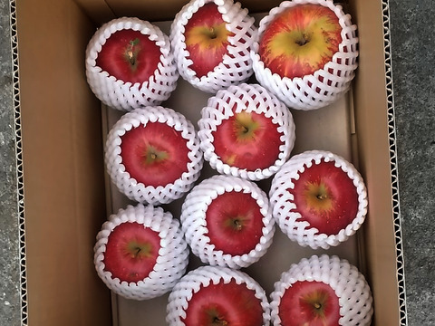 シナノスイート　8〜13玉約３キロ