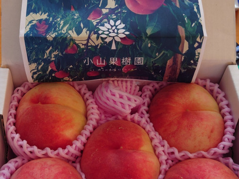 贈答用あかつき桃朝どり直送便約１．５kg(４〜６玉入り)