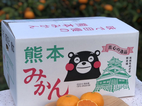 熊本発農薬不使用🍊  10kg ✖️２箱　宮川、原口早生　サイズフリー