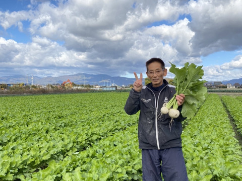 みずみずしい歌舞楽(カブラ)