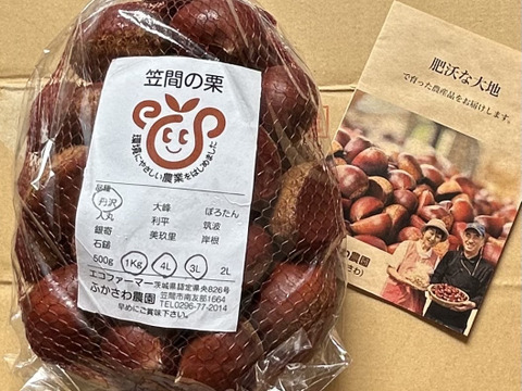 日本一の栗産地笠間の採れたて「丹沢」（３L・４Lサイズ）1㎏（無殺虫処理）