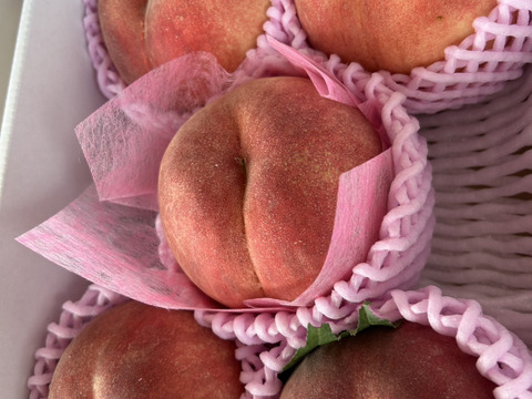 まるせい果樹園の桃『さくら白桃』2kg　化粧箱　(5～7個入り)  ms1