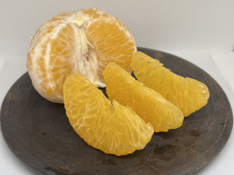 シャキプリの甘酸っぱい和歌山の八朔 2kg