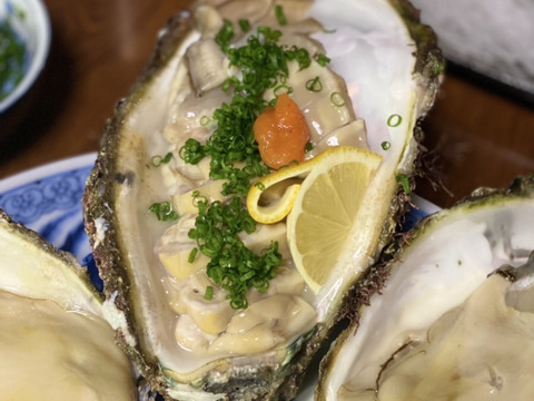 天然特大岩牡蠣　　　700gover