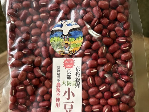 自然栽培　京丹後産　R７年産新豆　京都大納言小豆　200ｇ