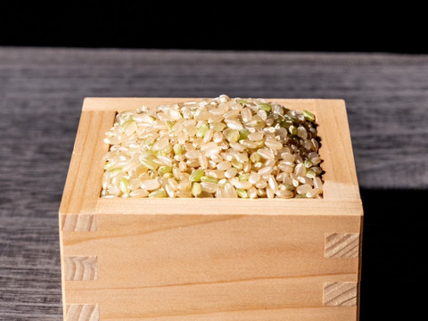 北海道産 特別栽培米(令和4年産) おぼろづき10kg(玄米)
