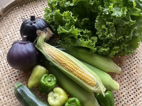 【期間限定】標高1000ｍで旨味！とうもろこし5本とおまかせ野菜セット