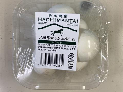 料理王国100選2024"優秀賞"に選出★【八幡平マッシュルーム ホワイト】 9パック