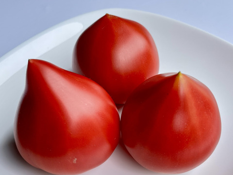 知る人ぞ知るトマト『ルネッサンス』2.4kg