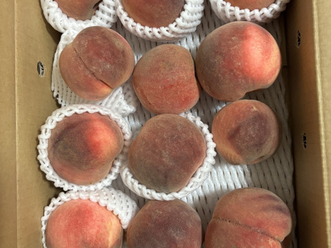 【 🍑お楽しみボックス🍑 】【 訳あり 】【 3000件突破‼️大人気‼️お試しに 】山形県天童産 桃 2.0k 【 果肉ジューシー 】さくらんぼとご一緒に！