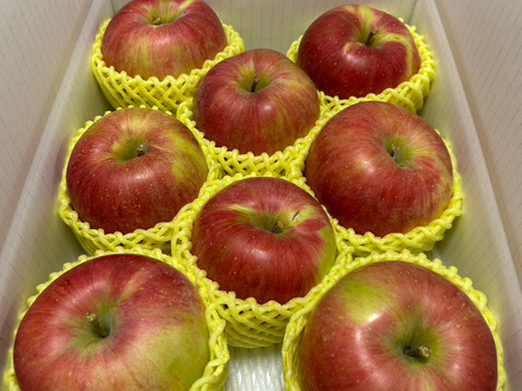 まるせい果樹園のシナノスイート　自家用　贈答用　(6～15玉入り)　玉数指定不可 rs1