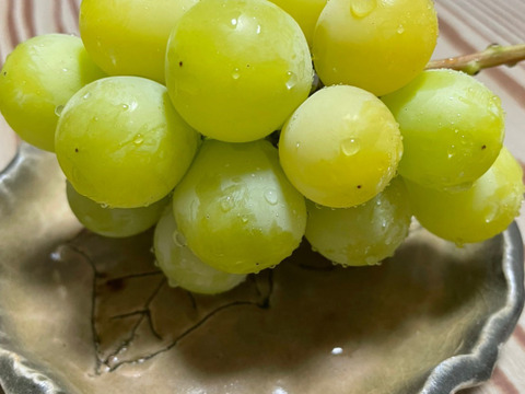 【秋の果物詰め合わせ】農薬不使用いちじく　約300g　農薬不使用黄金シャインマスカット（種あり）約300g