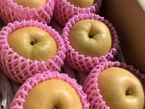 新甘泉 3キロ　再販