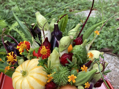 【秋ギフト】野菜ブーケかごタイプ【カラフルなミニ野菜】【お誕生日】【開店祝い】【周年祝い】【お供え】