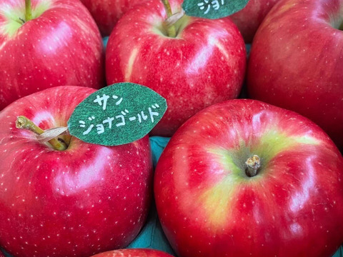 【冬ギフト】🍎5品種詰め合わせ🍎3キロ 【りんご食べ比べ】  おまかせ 商品ID171041