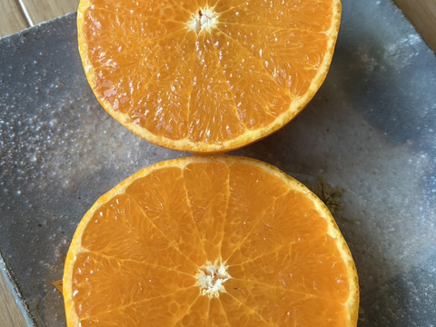 【糖度１６度以上】野村いろは農園の絶品せとか　３kg