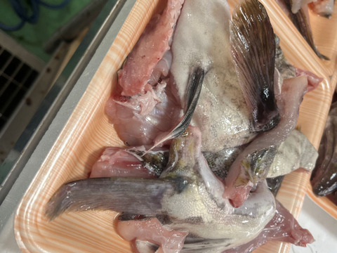 【今が旬！数量限定】　タラのあら汁用あら　(頭、カマ、ハラス)　約2ｋｇ