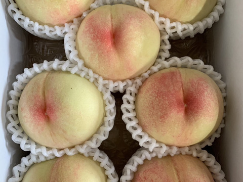 岡山県産【人気三品種】柔らかい白桃ご家庭用約2kg6〜8個入り