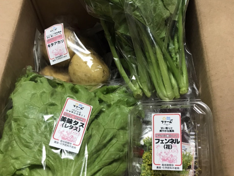 【定期便】丹波のこだわり野菜セット（５～１０品目）