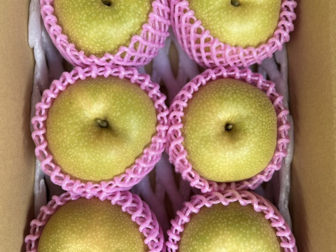 次世代エース　秋甘泉　3キロ